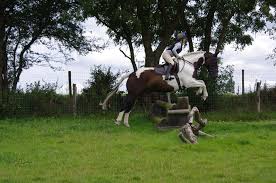 Image result for Cranleigh School Stables