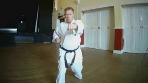 Image result for Junsui Shotokan Karate Do