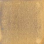 Attēlu rezultāti vaicājumam “Hapalopilus nidulans”