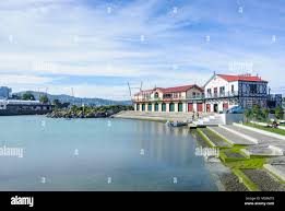 Image result for Lambton Rowing Club