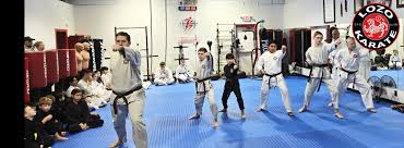 Image result for Springwood Karate