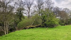 Image result for example