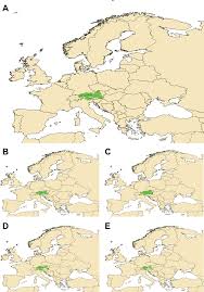 Attēlu rezultāti vaicājumam “Diasemia reticularis”