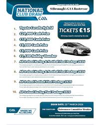 Image result for Rostrevor Hurling Club