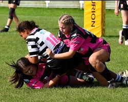 Image result for Lowca Amateur Rugby League Football Club