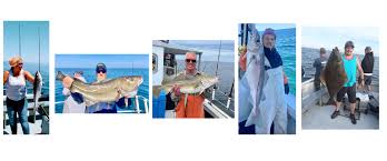 Image result for Newhaven Deep Sea Anglers