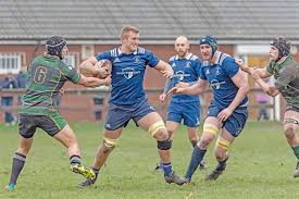 Image result for Ellingham and Ringwood Rfc