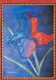 Image result for pheega