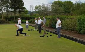 Image result for Vines Park (Droitwich) Bowling Club