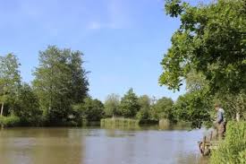 Image result for Reigate & District Angling Association