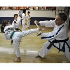 Image result for Utf Jaguar Tkd