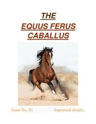 Attēlu rezultāti vaicājumam “Equus ferus caballus”