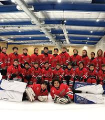 Image result for Streatham Youth Ice Hockey Club