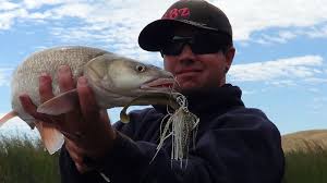 Image result for Ptychocheilus grandis