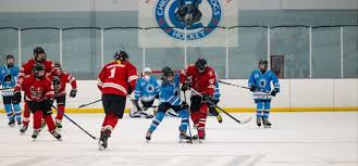Image result for Adur Skater Hockey Club