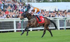 Image result for Ayr Riding Club