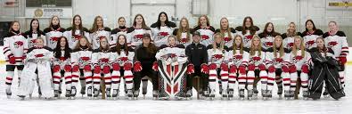 Image result for Frome Ladies Hockey Club