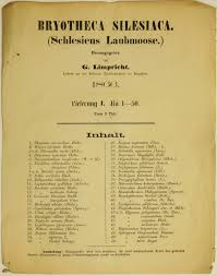 Attēlu rezultāti vaicājumam “Dicranella crispa”