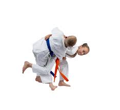 Image result for Halton Inclusive Judo Club