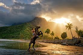 Image result for bilder