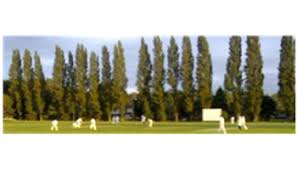 Image result for Shepherdswell Cricket Club