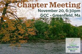 Image result for Wood Green A F S Association