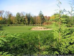 Image result for Driffield Golf Club