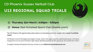 Image result for Crawley Down Netball Club