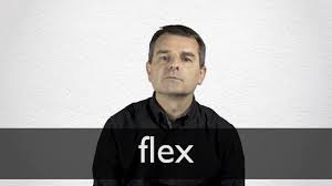 Image result for flex
