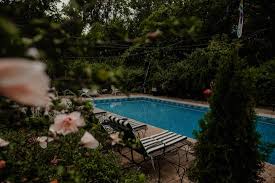 Image result for Chesterfield Swimming Club