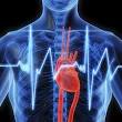 Proper Cardio Exercise Techniques | Fitness Achievement