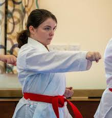 Image result for Norfolk Karate