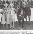 http://www.circle-s-quarter-horses.com/PocoBueno7.jpg