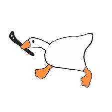 Image result for Halifax Octopush Club