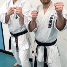 Image result for Seiki Juku Karate Club