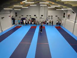 Image result for Stort Valley Sabre Club