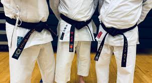 Image result for Fife Shotokan Karate Club
