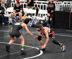 Image result for Erne Wrestling Club