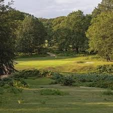 Image result for Brokenhurst Manor Golf Club