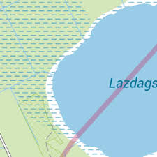 Attēlu rezultāti vaicājumam “Bitoma crenata imago”