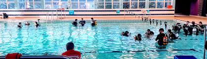 Image result for University Of London Sub-Aqua Club