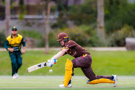 Image result for Calne Cricket Club