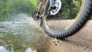 Image result for Epping Forest Mountain Bike Club