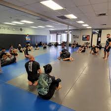 Image result for Precision Martial Arts