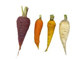 Image result for Möhren