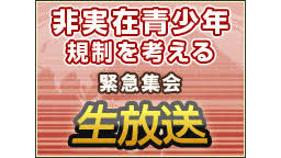 Image result for 非実在青少年