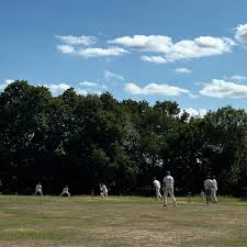 Image result for South Weald Cricket Club