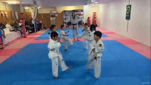 Image result for Red Dragon Taekwondo club
