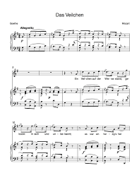 Image result for Veilchen