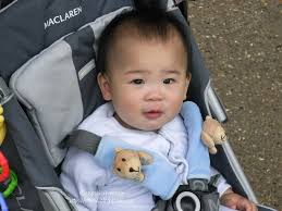 Image result for Maclaren Techno XT with a JJ Cole Urban Toddler Bundle Me in Ice Naomi Watts